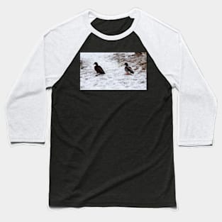 Ducks On The Winter Snow Baseball T-Shirt